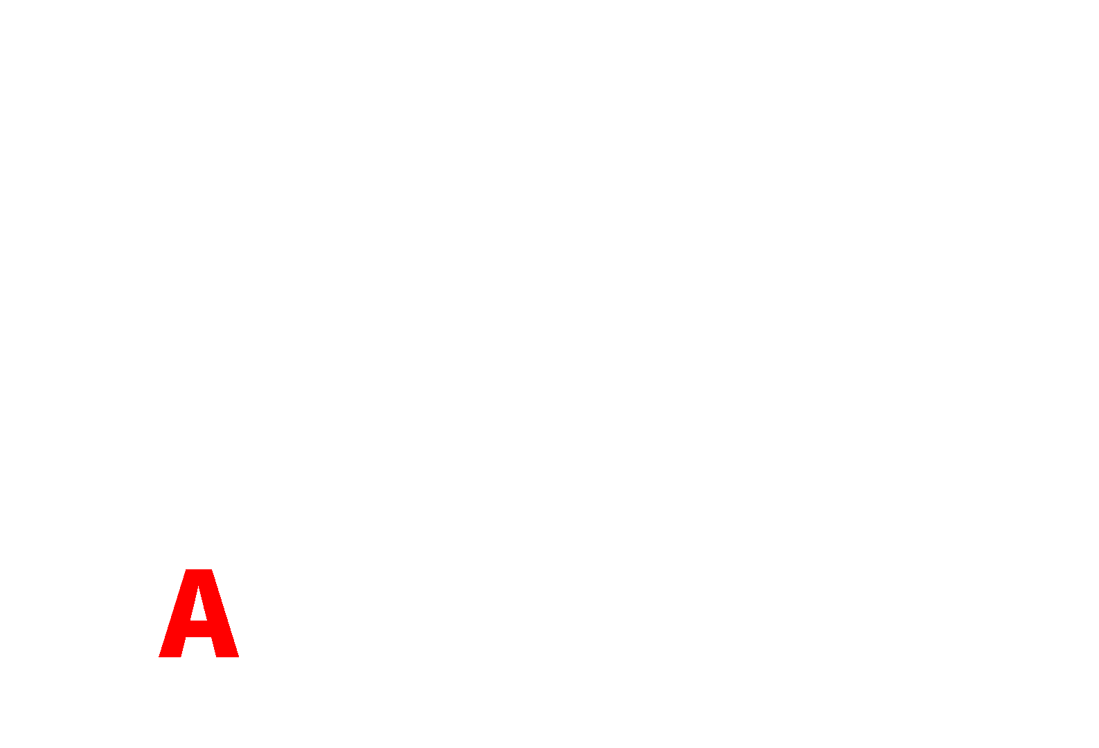 Aplus Sport